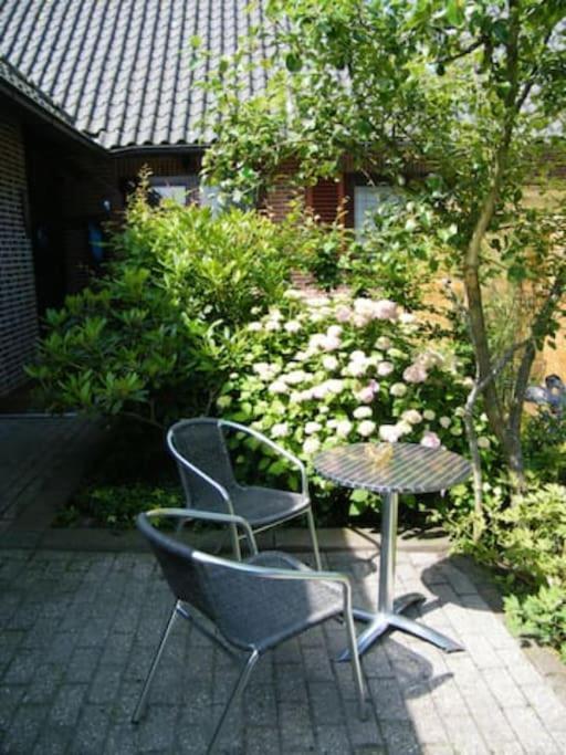 Studio Bed & Strand Scharendijke Exterior foto