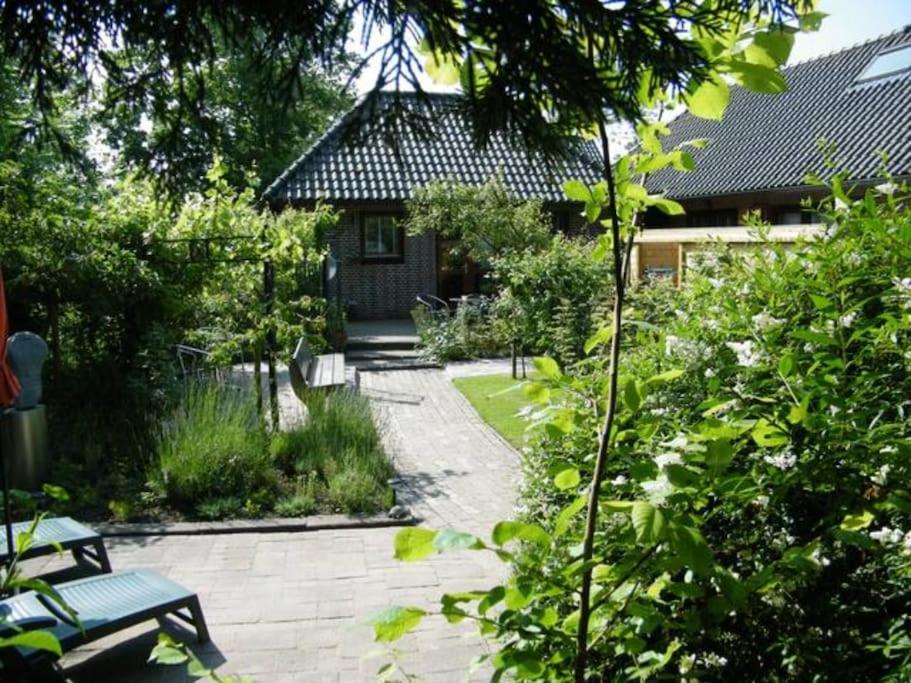 Studio Bed & Strand Scharendijke Exterior foto